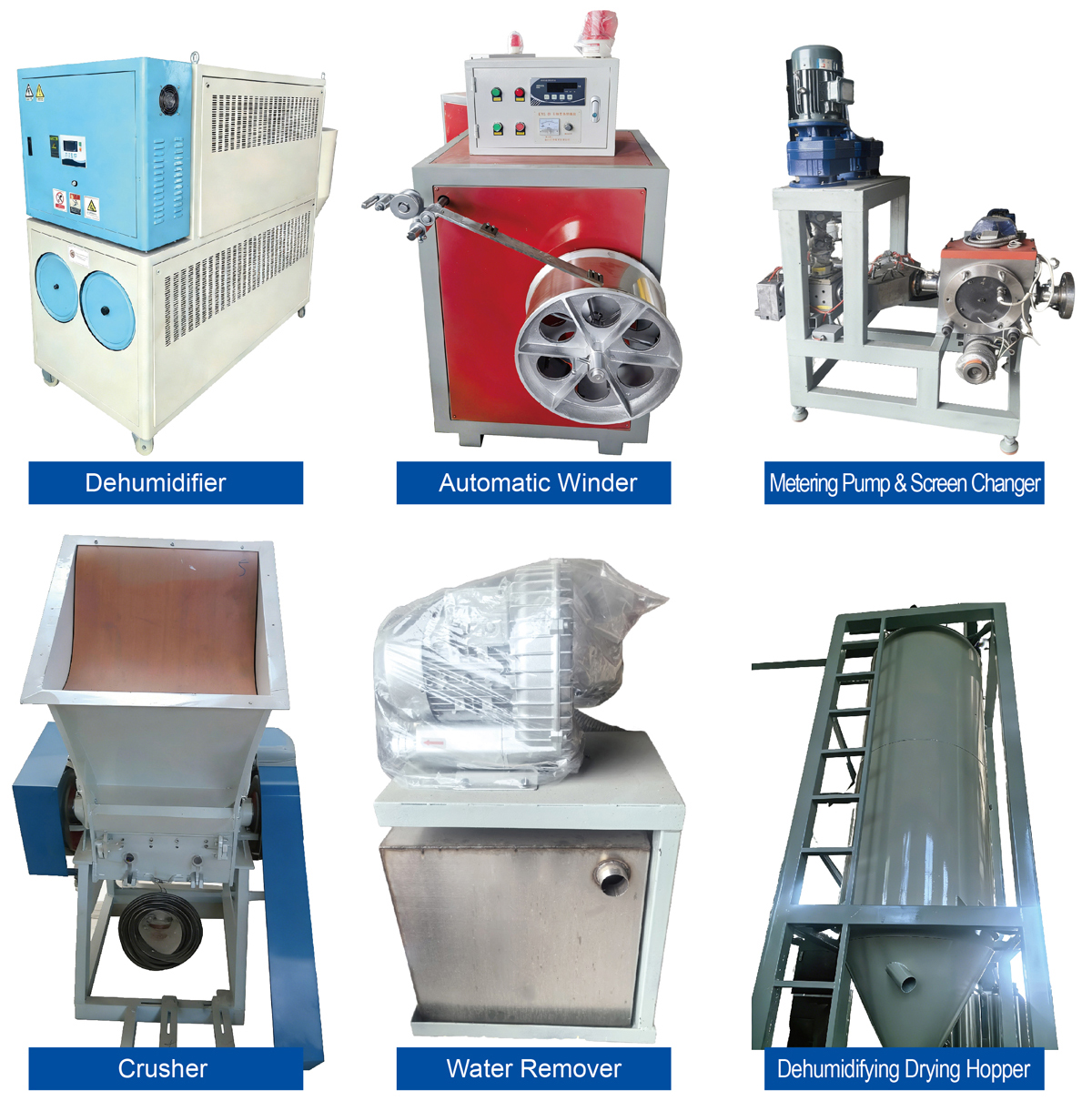 Ligne de production d'animaux de compagnie