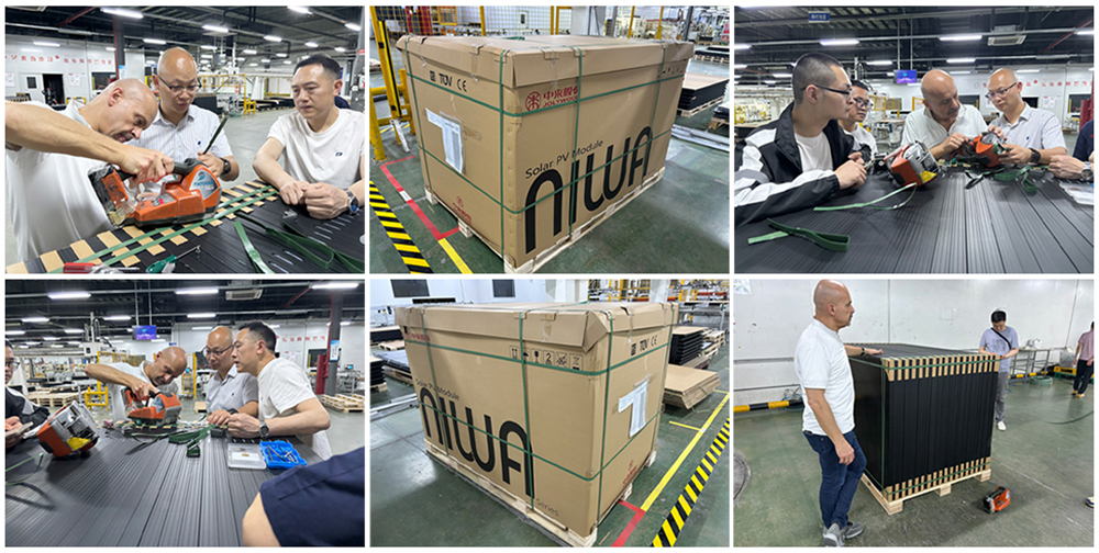 L'application du cerclage pour animaux de compagnie dans le domaine des panneaux solaires photovoltaïques