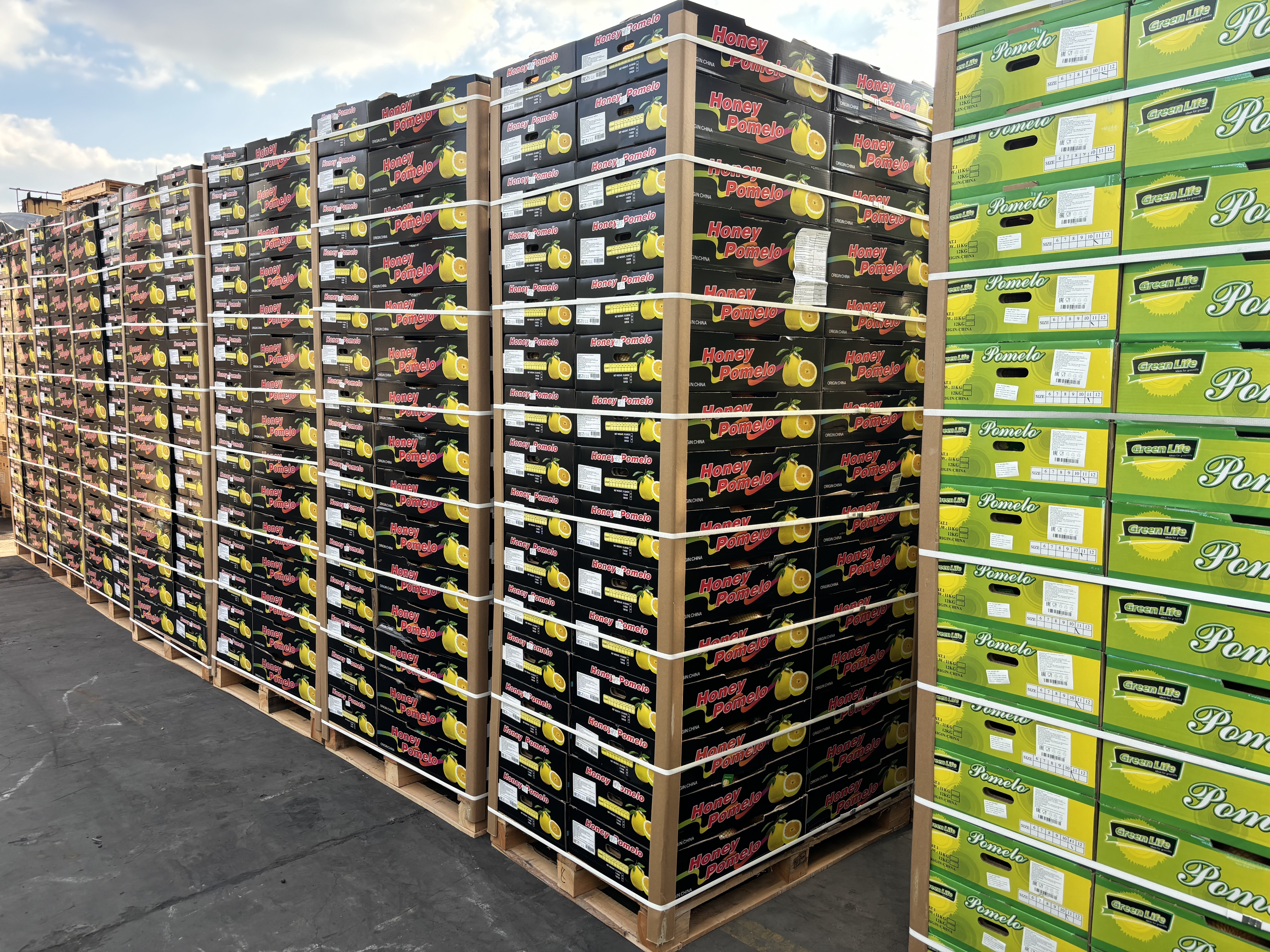 Industrie des fruits